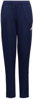 adidas Entrada 22 Trackpants Youth - Blauwe Trainingsbroek - 116