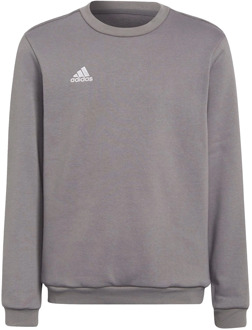 adidas Entrada 22 Trainingssweater Junior grijs - 152