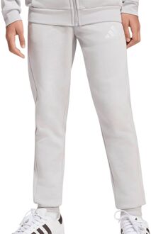 adidas Entrada 26 Joggingbroek Junior - 176