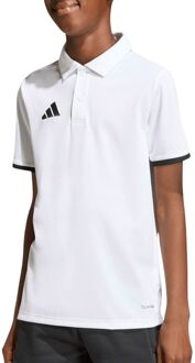 adidas Entrada 26 Polo Junior - 164