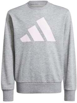 adidas Essentials Sweatshirt Kinderen-Grijs,Wit - 164