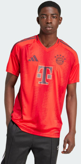 adidas Fc Bayern 24/25 Home Truien/Replica's Heren - Rood - Maat L - Katoen Canvas Red