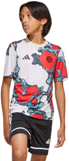 adidas Fc Bayern 24/25 Pre-match Truien/Replica's Kinder - Rood - Maat 159 - 164 CM - Poly Mesh Red