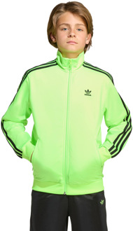 adidas Firebird Trainingspakken Kinder - Groen - Maat 159 - 164 CM - Poly Mesh Green