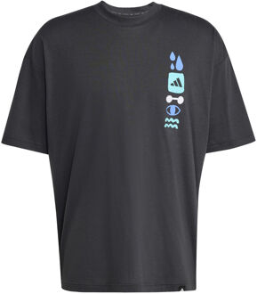 adidas GFX Joy T-shirt Heren donkergrijs - S