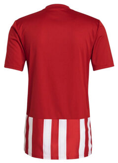 adidas Heren 21 gestreepte trui Rood - S