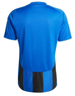 adidas Heren 24 gestreepte voetbal jersey Blauw - XL