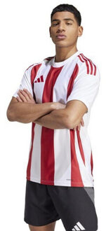 adidas Heren 24 gestreepte voetbal jersey Wit - L