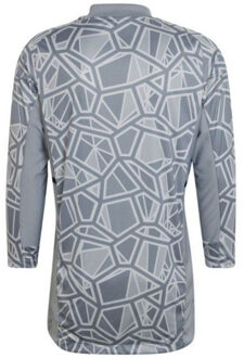 adidas Heren condivo 22 keepershirt met lange mouwen - maat XL Grijs