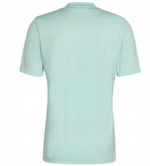 adidas Heren entrada 22 grafische trui Groen - XL