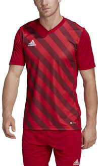 adidas Heren entrada 22 grafische trui Rood - S