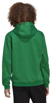 adidas Heren entrada 22 hoodie Groen - S