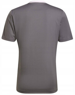 adidas Heren entrada 22 jersey Grijs - L