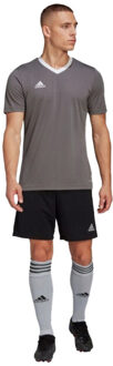 adidas Heren entrada 22 jersey Grijs - XL