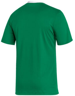 adidas Heren entrada 22 jersey Groen - XXL / XXXL