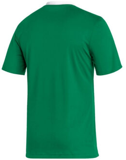 adidas Heren entrada 22 jersey - maat S Groen