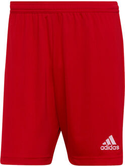 adidas Heren entrada 22 korte broek Rood - S