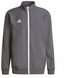 adidas Heren entrada 22 presentatiejas Grijs - L