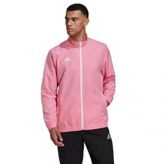 adidas Heren entrada 22 presentatiejas Roze - L