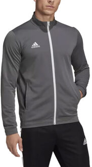 adidas Heren entrada 22 track jacket Grijs - L