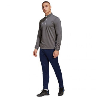 adidas Heren entrada 22 trainings sweatshirt Grijs