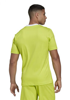 adidas Heren entrada 22 v hals voetbal jersey - maat M Groen