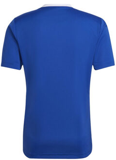 adidas Heren entrada 22 voetbal jersey - maat L Blauw