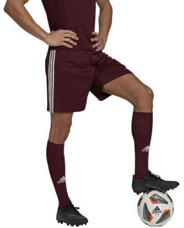 adidas Heren squadra 21 korte broek - maat S Rood