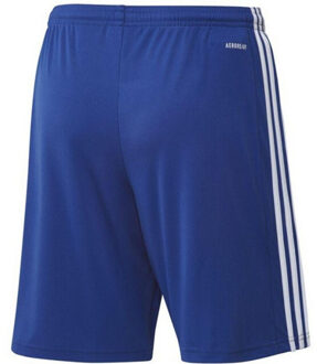 adidas Heren squadra 21 korte broek - maat XXL / XXXL Blauw