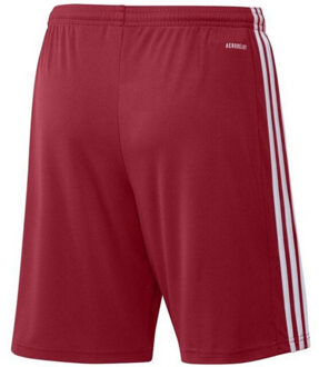 adidas Heren squadra 21 korte broek - maat XXL / XXXL Rood