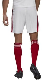 adidas Heren squadra 21 korte broek Wit
