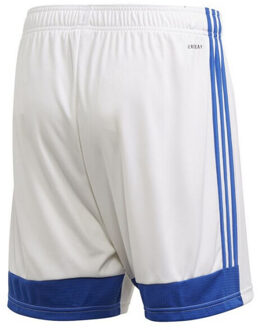 adidas Heren tastigo 19 korte broek Blauw - XXL / XXXL