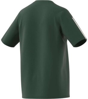 adidas Heren tiro 23 wedstrijd-t-shirt Groen - L
