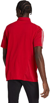 adidas Heren tiro 23 wedstrijdpoloshirt - maat M Rood