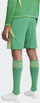 adidas Heren tiro 24 korte broek Groen - XL