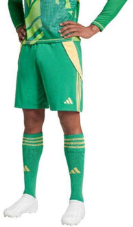 adidas Heren tiro 24 korte broek Groen - XXL / XXXL