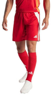 adidas Heren tiro 24 korte broek Rood - XL