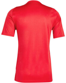 adidas Heren tiro 24 trui Rood - XL