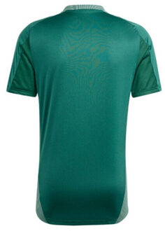 adidas Heren tiro 24 wedstrijd-t-shirt Groen - L