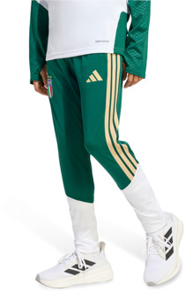 adidas Italy Broeken Kinder - Groen - Maat 159 - 164 CM - Poly Mesh Green