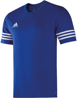 adidas jersey Entrada 14 Geel - 2XL