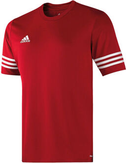 adidas jersey Entrada 14 Rood - M