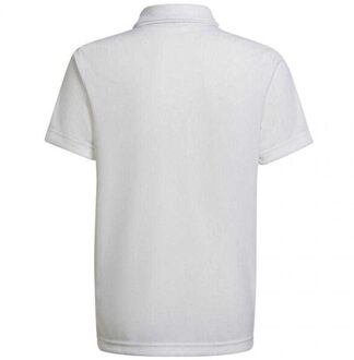 adidas Jongens entrada 22 poloshirt Wit - 176