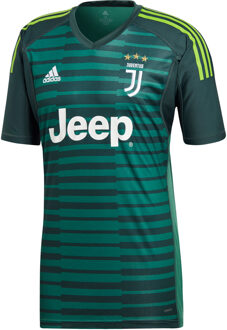 adidas Juventus Keepersshirt 2018-2019