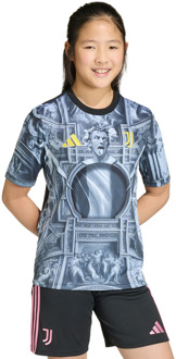 adidas Juventus Truien/Replica's Kinder - Zwart - Maat 159 - 164 CM - Poly Mesh Black