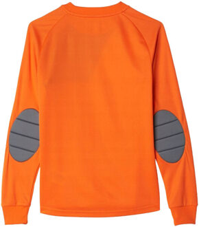 adidas Kinder/kids assita 17 sweatshirt - maat 116 Grijs