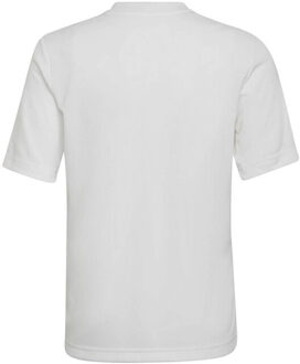 adidas Kinder/kids entrada 22 grafische trui Grijs - 116