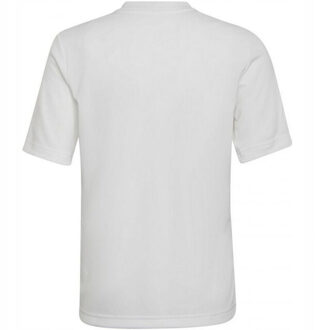 adidas Kinder/kids entrada 22 grafische trui Grijs - 128