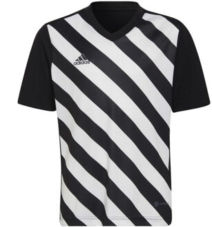 adidas Kinder/kids entrada 22 grafische trui - maat 116 Wit