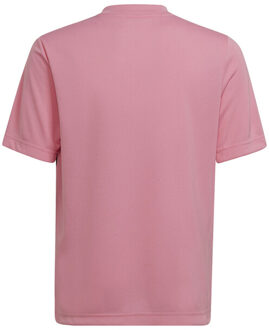 adidas Kinder/kids entrada 22 grafische trui - maat 116 Zwart